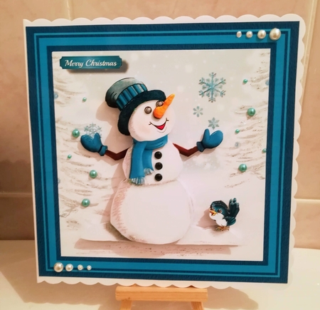 Bluebird and the Snowman by Jennifer Selbie