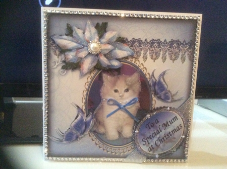 Kitten, Butterflies and Poinsettias 8x8 Inches by Jennifer Swandells