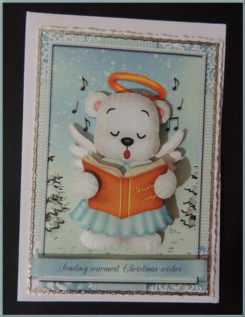 The Polar Choir by Jennifer weary
