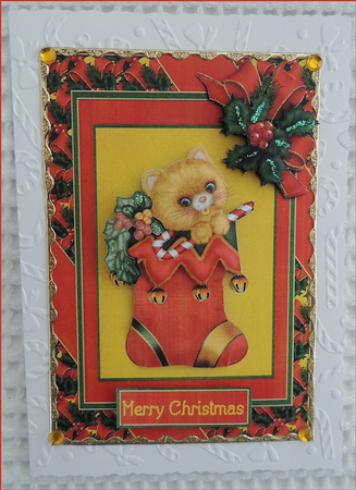 Christmas Puss In Stocking by Jennifer weary