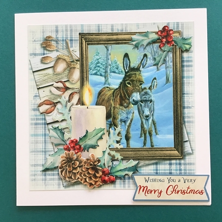 Little Donkey 2 - 5 6x6 & 5 6x4 Card Fronts, 2 Inserts & Backing Paper by Jennifer Archer