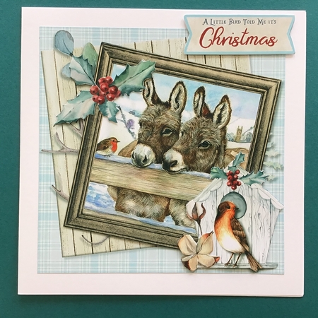 Little Donkey 2 - 5 6x6 & 5 6x4 Card Fronts, 2 Inserts & Backing Paper by Jennifer Archer