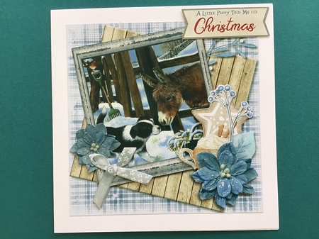 Little Donkey 2 - 5 6x6 & 5 6x4 Card Fronts, 2 Inserts & Backing Paper by Jennifer Archer