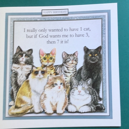 7 CATS blue by Jennifer Archer