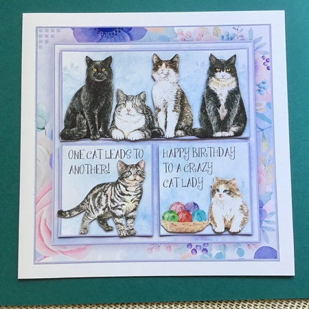 Crazy Cat Lady Mini Kit by Jennifer Archer