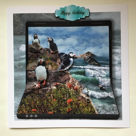 puffin island by Jennifer Archer