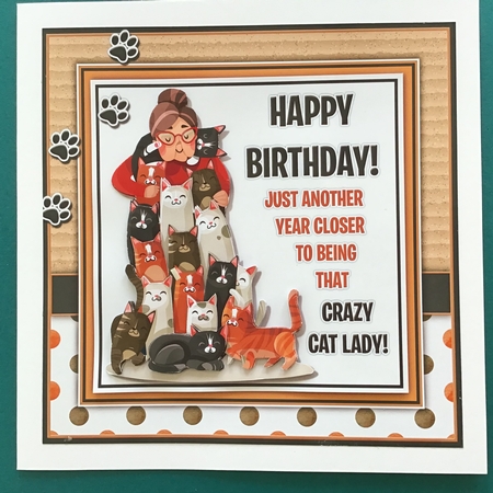 Crazy Cat Lady by Jennifer Archer