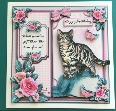 Cat Loving One  by Jennifer Archer