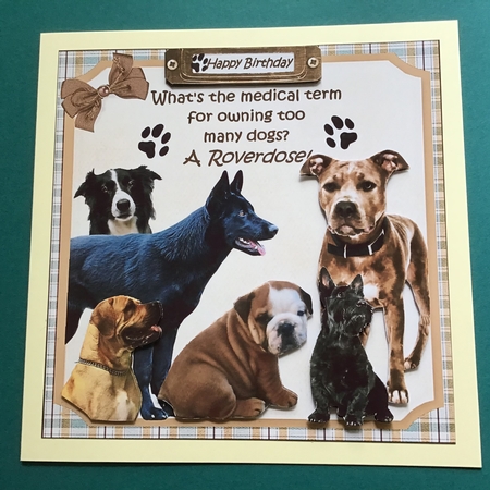 7x7 Too many dogs by Jennifer Archer