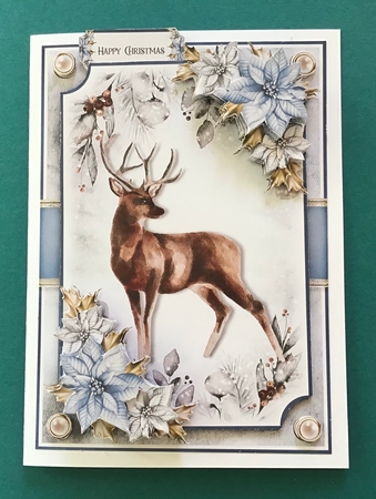 Watercolour Animals and Poinsettias Mini Kit 1 by Jennifer Archer
