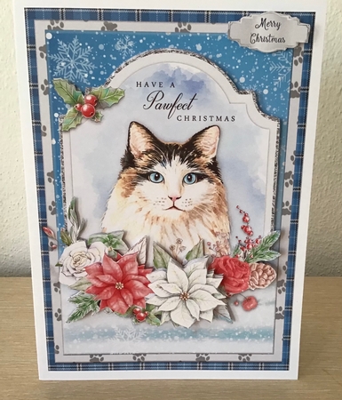 CHRISTMAS CATS 5x7 Bumper Kit by Jennifer Archer