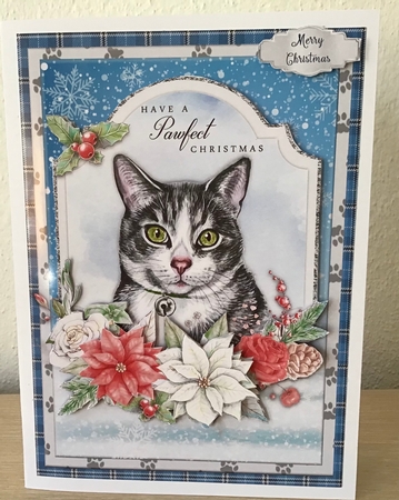 CHRISTMAS CATS 5x7 Bumper Kit by Jennifer Archer