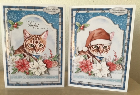 CHRISTMAS CATS 5x7 Bumper Kit by Jennifer Archer