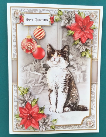 Cats and Poinsettias Bumper Kit by Jennifer Archer