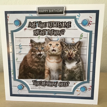 ARE YOU KITTEN ME? by Jennifer Archer