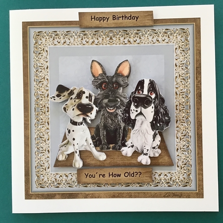 Male Card You´re How Old ? by Jennifer Archer
