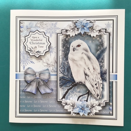 The Snowy Owl by Jennifer Archer
