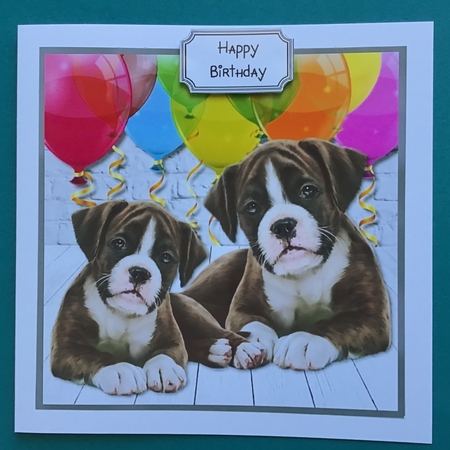 Cute Dogs Birthday by Jennifer Archer