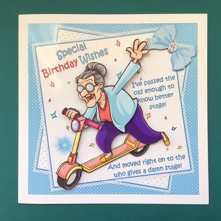 8x8 Sally grows old gracefully mini kit by Jennifer Archer
