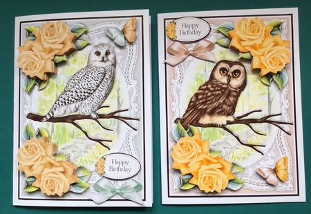Lace and Roses Birds Bumper Kit by Jennifer Archer