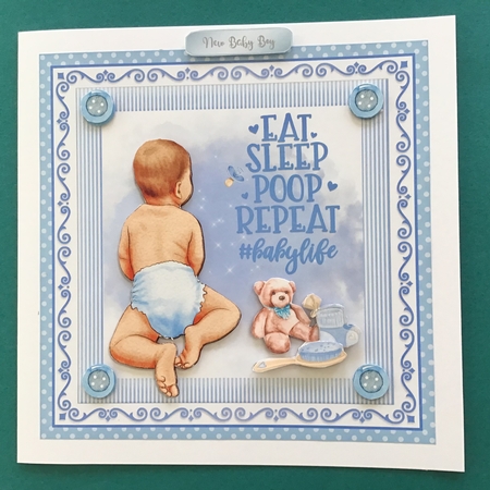 EAT, SLEEP, POOP, REPEAT. by Jennifer Archer
