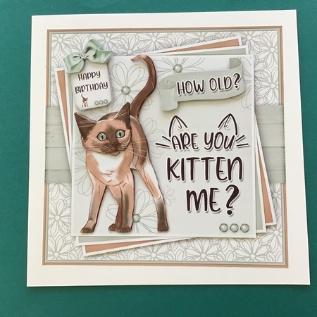 Are You Kitten Me Mini Kit by Jennifer Archer