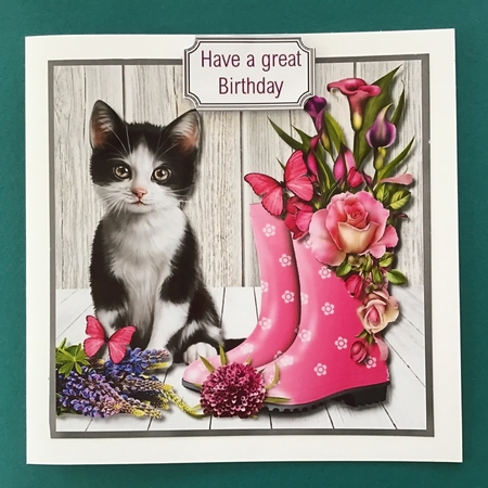 Cat and Flowers by Jennifer Archer