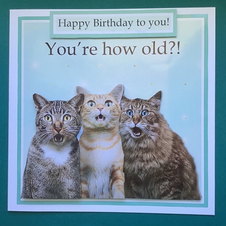 How Old?! one  by Jennifer Archer