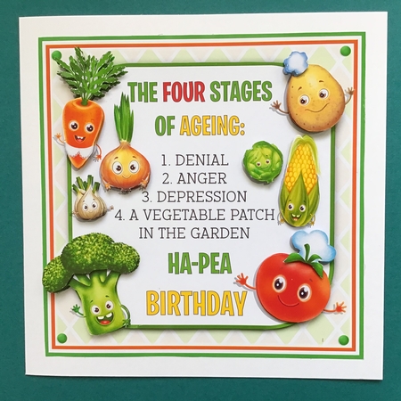 The Four Stages of Ageing  by Jennifer Archer