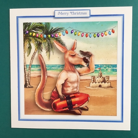 BEACH KANGAROO 6X6 by Jennifer Archer