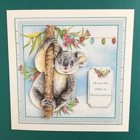 6X6 CHRISTMAS KOALA   by Jennifer Archer
