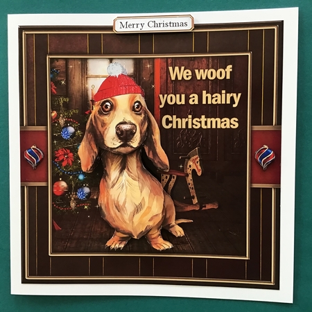 Woof by Jennifer Archer