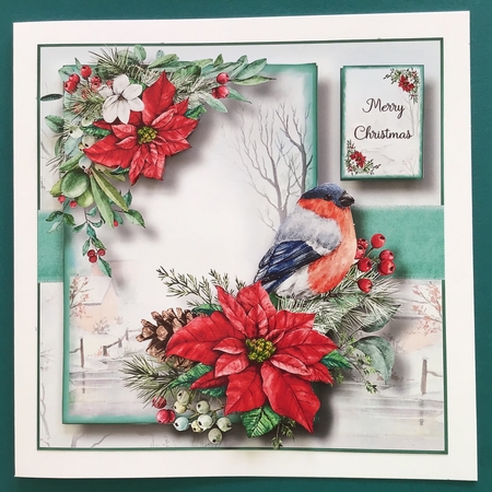 Gorgeous Red Poinsettia And Bird by Jennifer Archer
