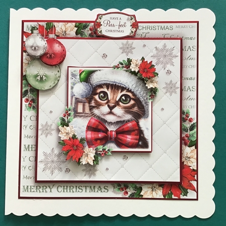 Meowy Christmas by Jennifer Archer