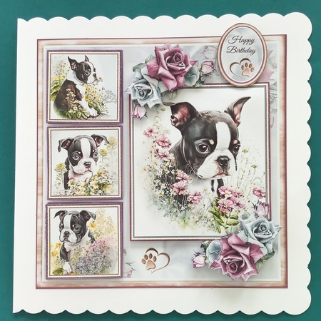 Boston Terrier Puppy Collage Mini Page Kit by Jennifer Archer