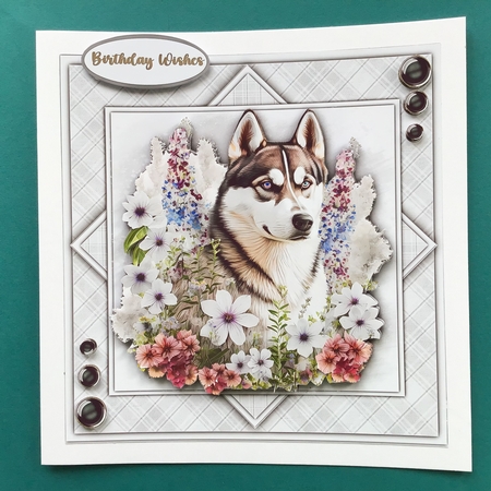 8x8 Mini Kit, Beautiful Wild Husky by Jennifer Archer