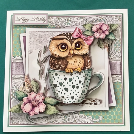 Cute Owl  by Jennifer Archer