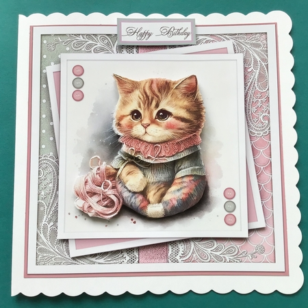 Just a portrait of a cute cat KIT-Four  by Jennifer Archer