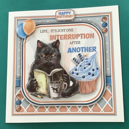 Cattitude! by Jennifer Archer