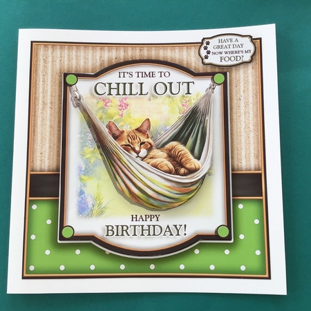 The Cool Cat by Jennifer Archer
