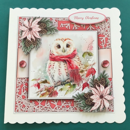 8x8 Mini Kit, Gorgeous Winter Owls by Jennifer Archer