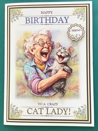 Crazy Cat Lady by Jennifer Archer