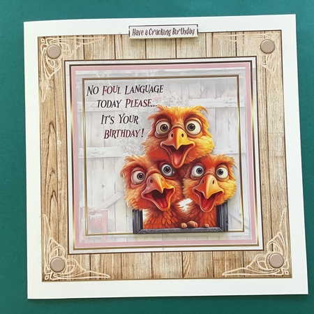 No Foul Language Please birthday 7x7ins kit with bookmarks by Jennifer Archer