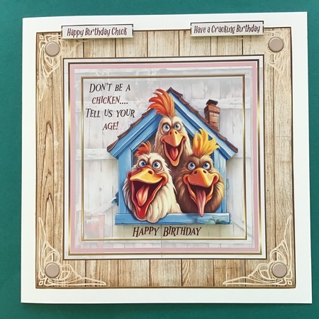 Dont be a chicken birthday 7x7ins kit with bookmarks by Jennifer Archer