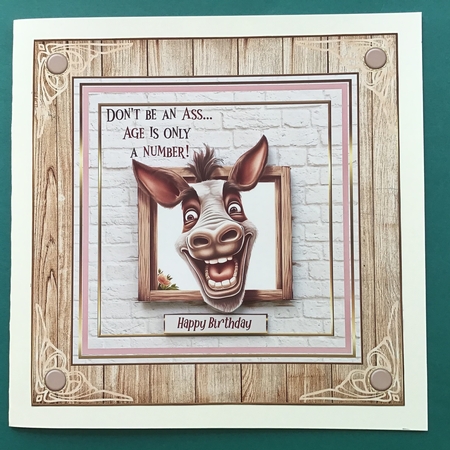 Dont Be An Ass 7x7ins kit with bookmarks by Jennifer Archer