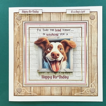 Take the lead 7x7ins kit with bookmarks by Jennifer Archer