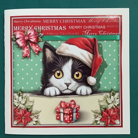 Have a Purrfect Christmas by Jennifer Archer