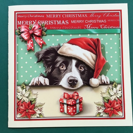 Hope Your Christmas Is Barking Mad! by Jennifer Archer