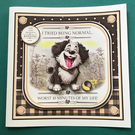 Barking Mad Birthday! by Jennifer Archer