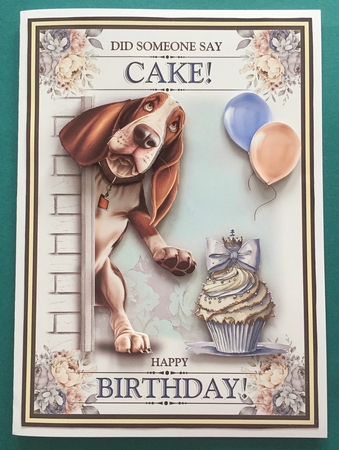 Cake! by Jennifer Archer